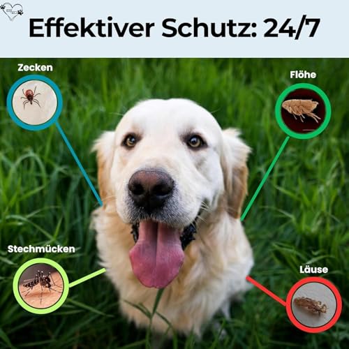 CANYBY Zecken- & Flohhalsband für Katzen und Hunde – Natürlicher Schutz bis zu 8 Monate – Wasserdicht, Verstellbar & mit 100% natürlichen Inhaltsstoffen