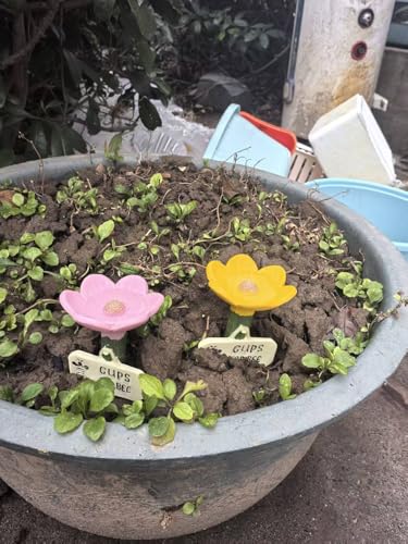 Bee Watering Station - image 2