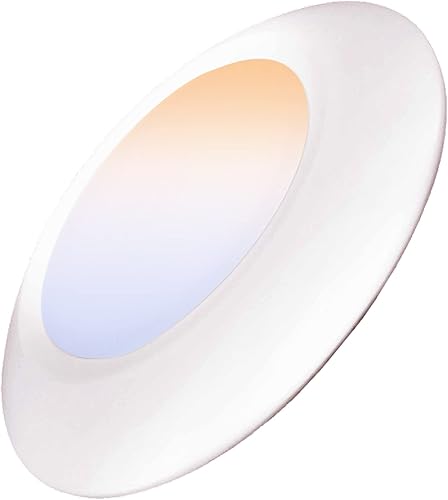 LABORATE LIGHTING, Surface Mount LED Disk 6 inch Dimmable Light, 15W, 1000 Lumen