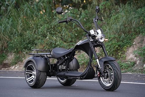 eAhora M1P Electric Trike for Adults, 2000W Brushless Motor