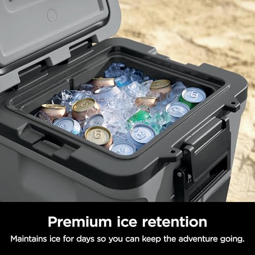 Image of Ninja | Cooler | FrostVault 30QT Cooler with Wheels | Insulated with Temp Dry Storage Drawer | Keeps Ice Cold for Days | for the Beach, Camping, Picnics & More | Charcoal Gray | FB230CG