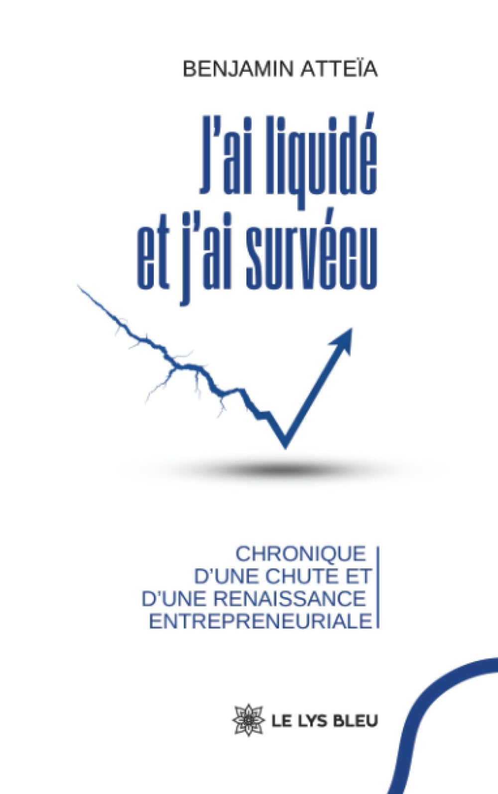 J'ai liquidé et j'ai survécu - Chronique d'une chute et d'une renaissance entrepreneuriale