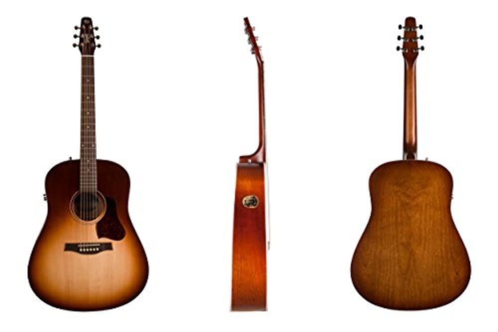 Amazon.com: Seagull Entourage Autumn Burst QIT Acoustic Electric