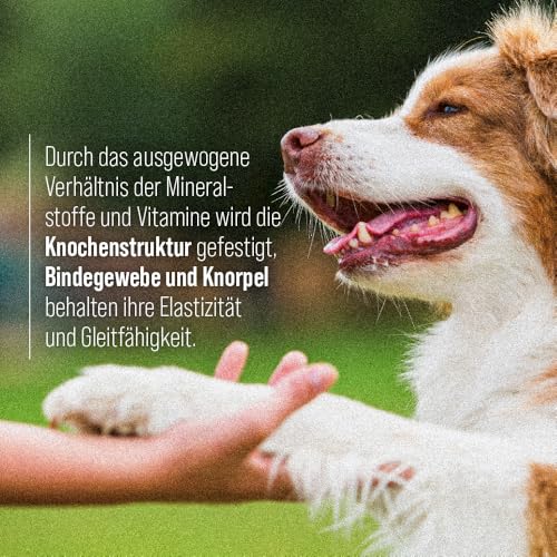 tierlieb Gelenkfreund Hunde-Kapseln mit Calcium, Magnesium, Glucosamin & Chondroitin 130 Kapseln