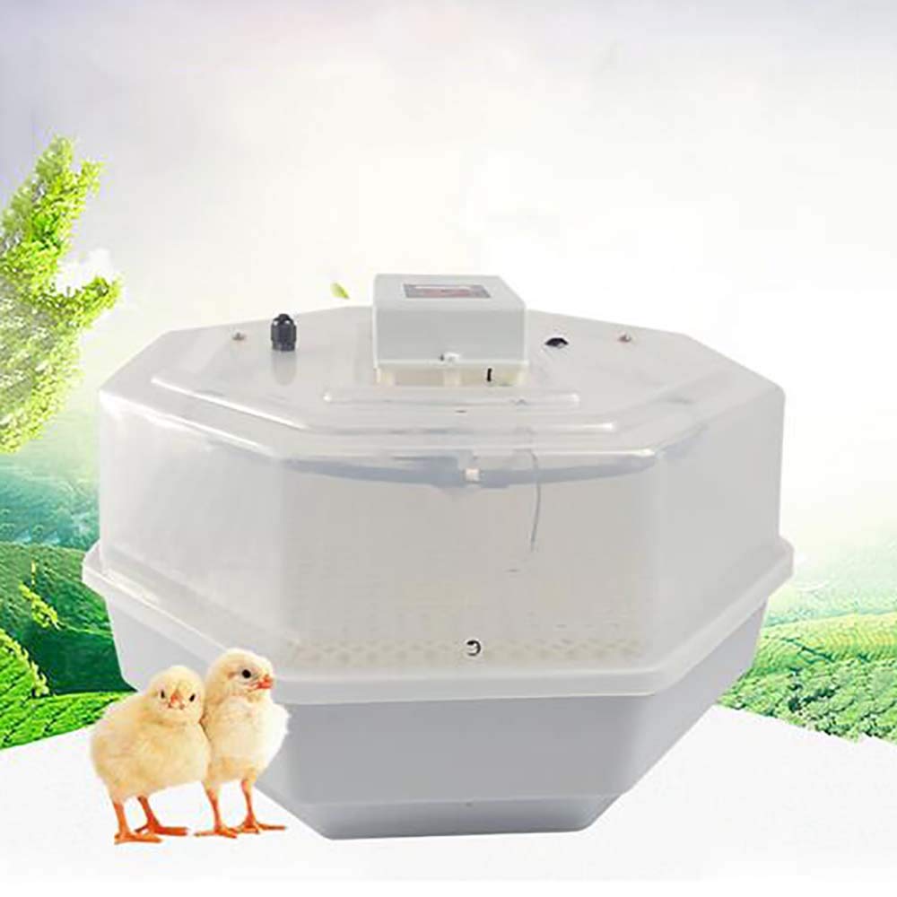 Buy FXQIN Chicken Incubator Hatcher 60 Eggs, Automatic Poultry Hatcher