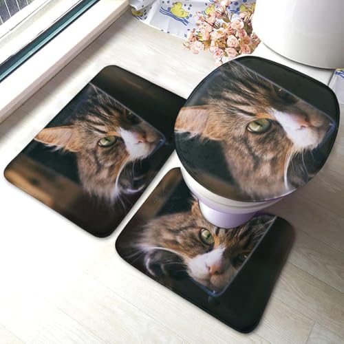 gC}bg Zbg 3_  ԂL L }bg gCWJo[ U^ O^ gC}bg Zbg ~ z  h ֊ӂJo[ ƒp zep