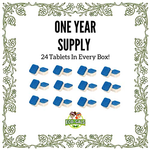 image for Eco-Gals Eco Swirlz Washing Machine Cleaner, 24 Count, 1 Year Supply, 