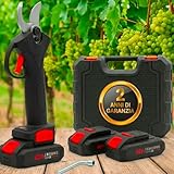 081 Store - Forbici Potatura Elettriche a 2 Batteria – 2 ANNI DI GARANZIA – Cesoie Professionali 48V con Valigetta, Taglio Rami fino a 25mm, Lame in Acciaio, Forbici da Giardinaggio