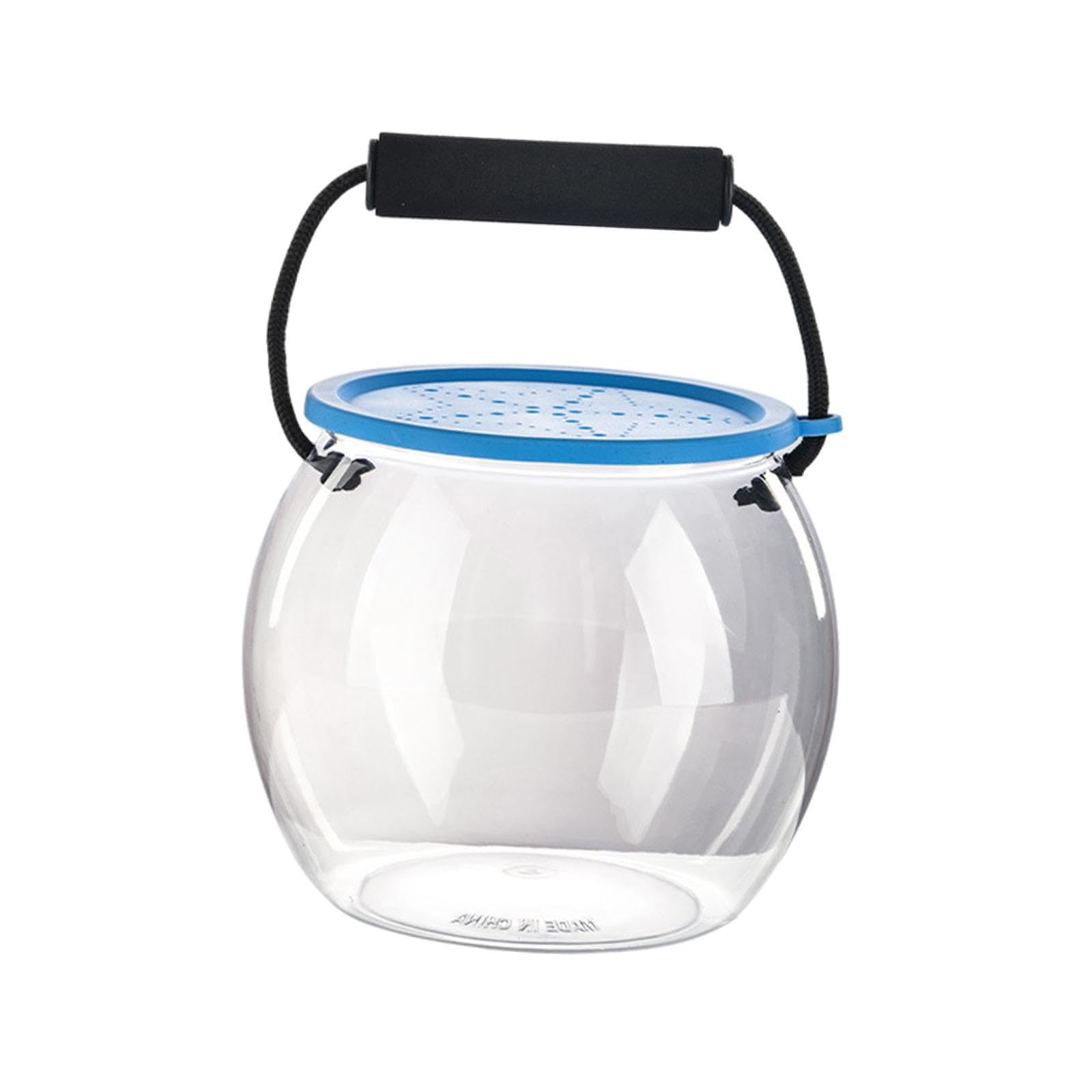 Kleines Aquarium Zum Mitnehmen