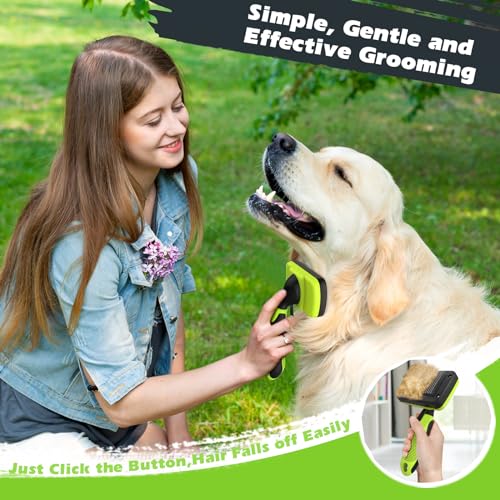 Augwind 3Pcs Dog Grooming Kit thumb #3