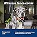 PetSafe Wireless Pet Containment System Receiver Collar - Battery-Operated & Waterproof - Adjustable Receiver Collar with 5 Correction Levels - for Dogs 5lb+