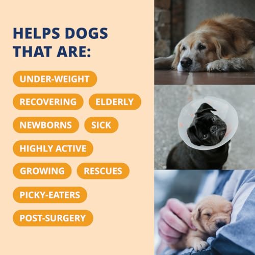 Under the Weather Pet Electrolytes Ready Cal Plus Gel for Dogs | Vet-Formulated High-Calorie Supplement for Dog & Puppy | Provides Essential Calories & Promotes Weight Gain | 3.5 Oz Tube Pack