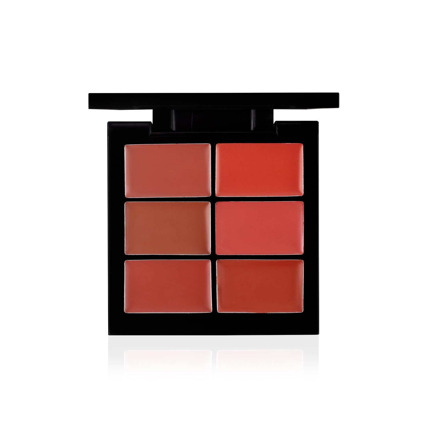 PAC Lip Palette X6-02 (Nude)-image-17