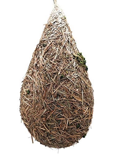 LWINGFLYER 2 peças de casa de pássaro de grama para pendurar fora cabana de pássaro tecido ninho aco