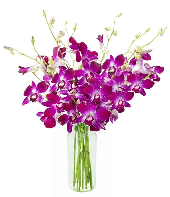 Image of KaBloom-10 Purple orchid Bouquet,Flowers for Valentine, Mother's Day