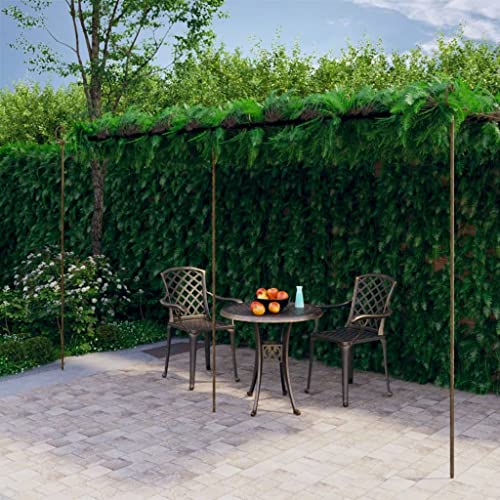 Vetnasa Pérgola de jardín marrón Antiguo 6x3x2,5 m Hierro Casa y jardín, Jardín, Artículos de Exterior, Estructuras de Exteriores, Pérgolas, Arcos y enrejados de jardín Marrón 23,3 KG