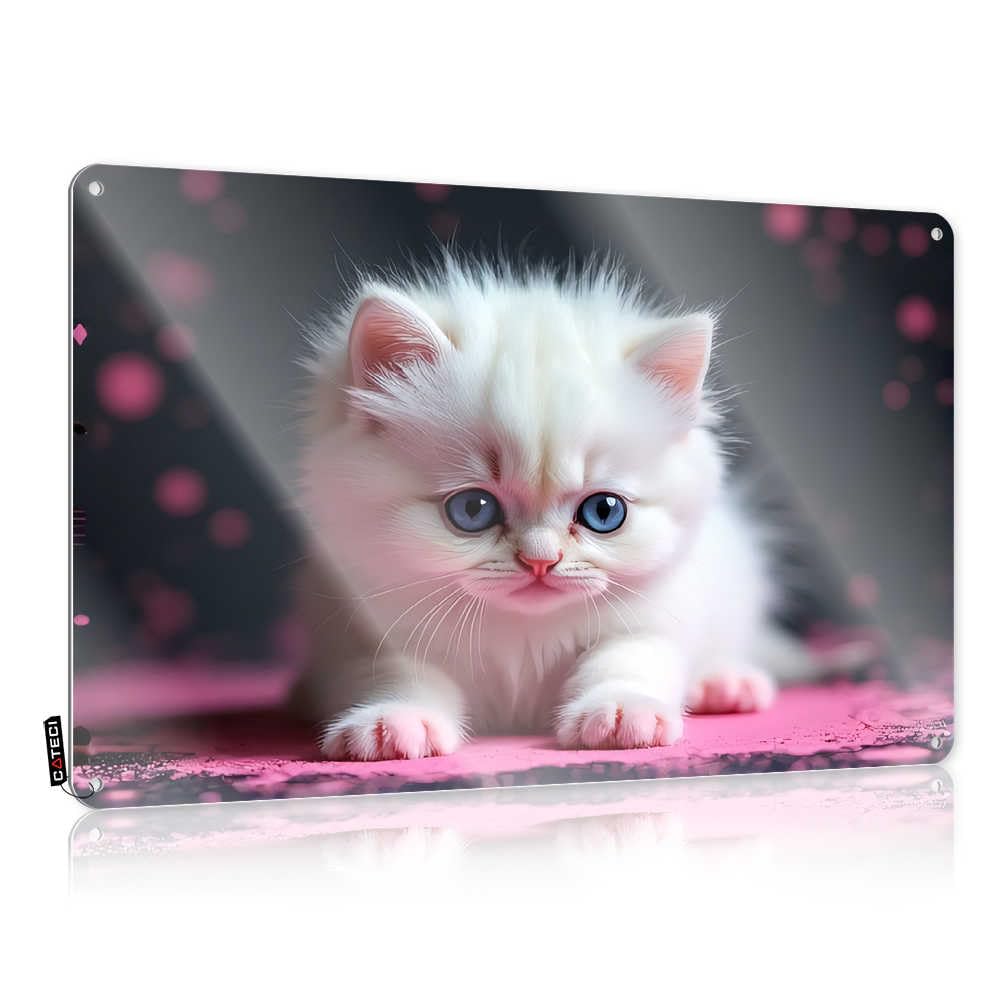 Fzfn Colour Spring Porch Decor Reusable Plaque | Adorable White Kitten With Blue Eyes Amazing Decorative Wall Art Ready To Hang For Office(30X40cm)
