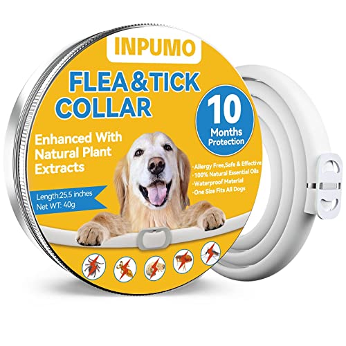 Collar Antiparasitario Perros, Ajustable Collar Antipulgas Perros 10 Meses Natural Impermeable Antipulgas para Perro Collar Antipulgas y Garrapatas para Perros (1 Pack)