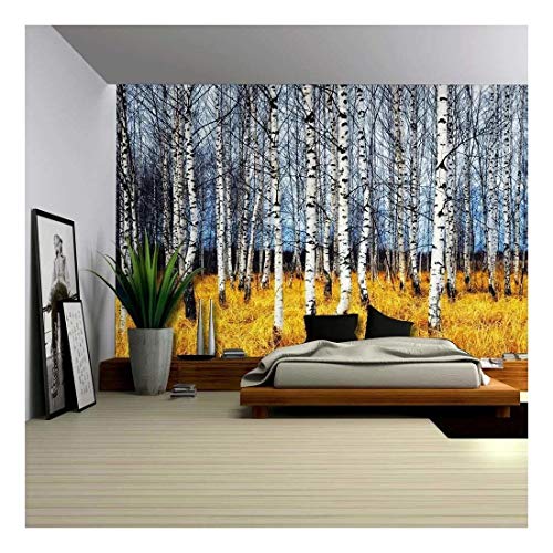 wall26 - Landscape Mural of a Birch Tree Forest - Wall Mural, Removable Sticker, Home Decor - 100x144 inches