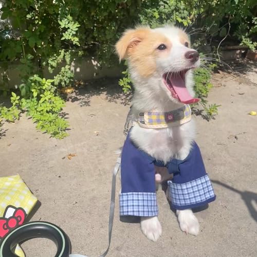 Image of Dog Elbow Pads Knee Protector Wraps Elbow Callus Treatment Sleeve for Wounds Front Legs Stop Licking Medium Large Dogs XL, Navy