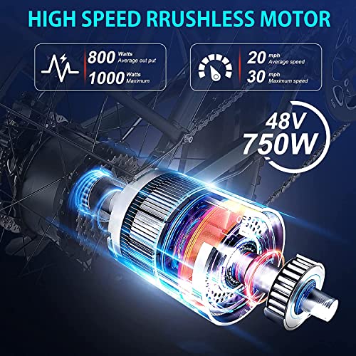 Damson Electric Bike 1000W 48V 20Ah/17.5Ah Removable Battery Long Range Mountain Electric Bicycle Up To 30Mph All Terrain Fat Tire Electric Bicycles With Full Suspension & Dual Hydraulic Disc Brake #TOP2