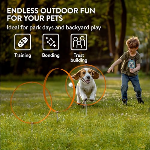 Navaris 3X Ring Agility Set Hunde klein und mittelgroß - 3er Hunde Agility Set - 3 Ringe für Hundesport Hundeparcour - Hunde Training Zubehör - Agility Hund Ringe - Orange