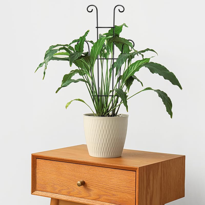 Image of Coomin Plant Trellis for Potted Plants with Ties, 23in 2p