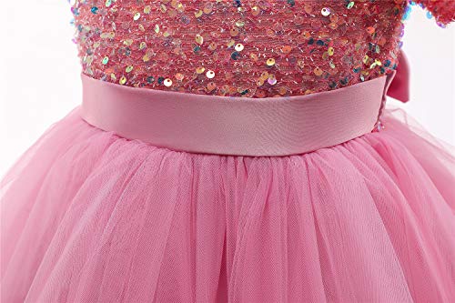 Ttyaovo Flower Girl Tulle Birthday Party Princess Tutu Sequins Dress Ball Gown 737_C Pink Size (120) 4-5 Years #TOP4
