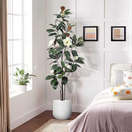 [LJKI] ʗ̉ A tFCNO[ ϗtA lH p {   ^ CeA Ƃ̒ɒu bȂ sv z[  120cm Lb` ItBX ʗ̉ ϗt  K̖ A A