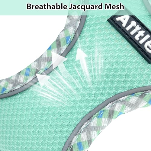 AIITLE Durable Hundegeschirr und Leine Set für Spaziergänge, Schritt in Welpengeschirr, weiche atmungsaktive Haustier Zubehör, reflektierende Bänder, für extra kleine Hunde und Hauskatzen Türkis XXXS