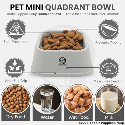 Image of Foodie Puppies Cat Food and Water Feeder - 150ml (Grey Quadrant, Pack of 2) | Durable, Anti Vomiting, Healthy Cat Bowl for Persian Cat Prevent Tipping Over | Elevated Feeder for Cats and Small Dogs