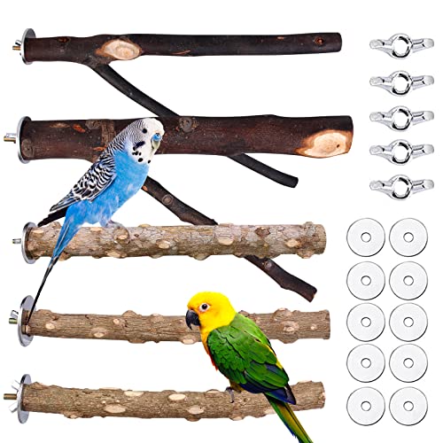 Perchas Madera Pajaros Marca Nizirioo