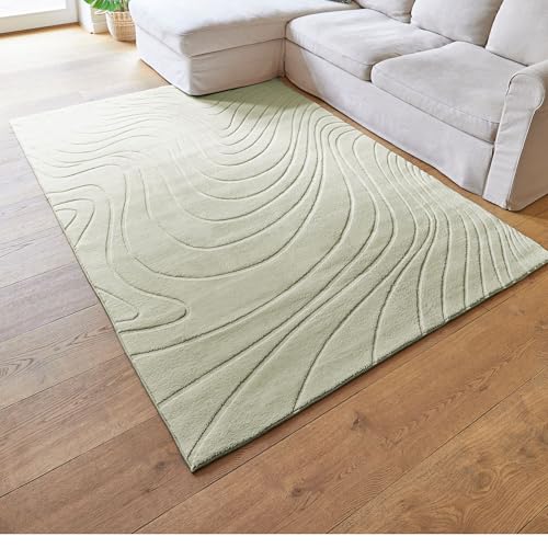 andiamo Alfombra Dale - Alfombra de Pelo Corto con Efecto de Profundidad Alta para el salón o el Dormitorio, Alfombra Tejida de Pelo Alto, agradablemente Suave, 120 x 170 cm, Color Salvia