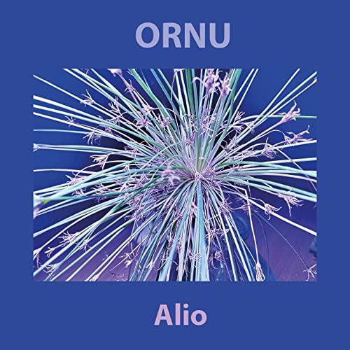  Alioto