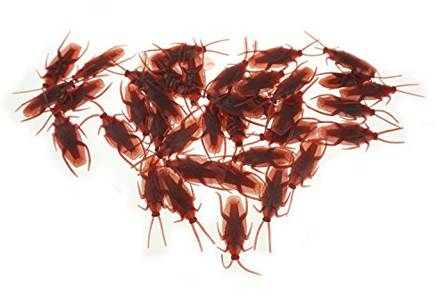 Bilipala Fake Cockroach Novelty Roaches Bugs Realistic Insects, Pack of 50