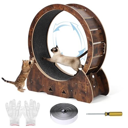 GarveeLife Wooden Cat Exercise Wheel