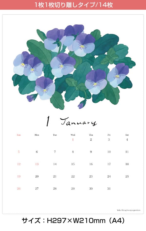 原英莉花 2025年カレンダーセット　壁掛け セット】原英莉花オリジナルカレンダー 2025＆2024セット 2025年