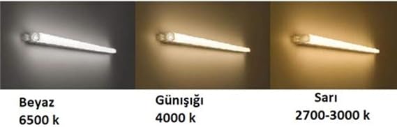 Philips Trunklinea Luminaire 9W 6500K Cool White Led