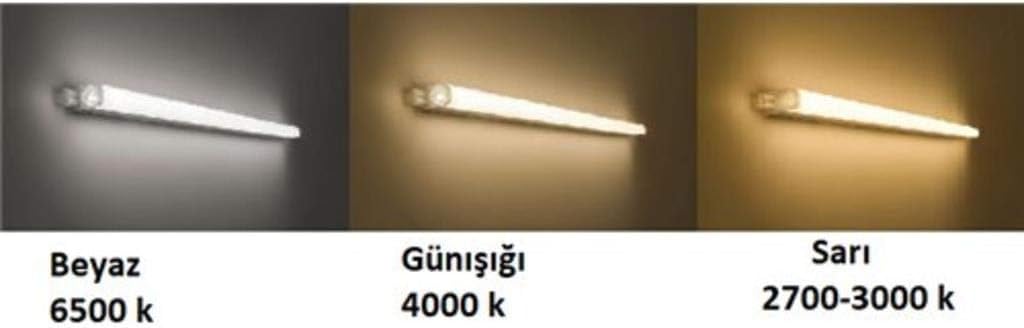 Philips Trunklinea Luminaire 9W 6500K Cool White Led
