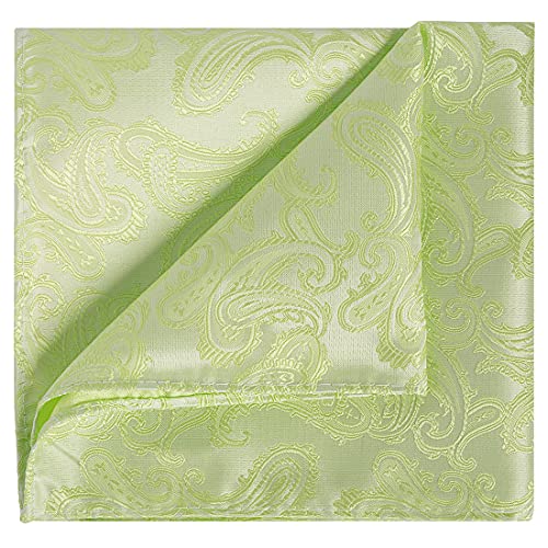Image of KissTies Mens Paisley Tie And Pocket Square Necktie Sets