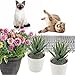 Gsycle 12Pcs Cat Deterrent Mat, Anti Cat Dog Network Indoor Outdoor Training Plastic Spike Mat Scat Mat for Keeping Away Cats Dogs Protecting Plants
