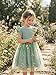 Toddler Girl Summer Dress Tulle Ruffle Sleeveless Baby Girl Fashion Casual Spring Dresses 1-5Y(Green,3 Years)