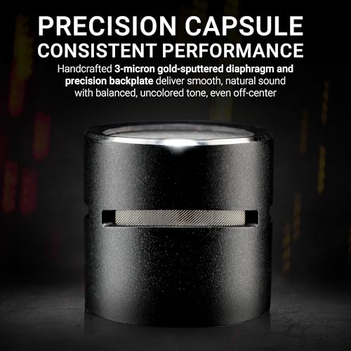 Image of SE ELECTRONICS Matched Pair sE8 Cardioid Capsules for sE8 XLR Small Diaphragm Condenser Microphones - Handcrafted Professional Instrument Microphone Capsules for Drums & Guitar in Studio or on Stage
