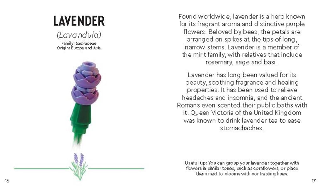 LEGO® Botanicals™: Tiny Wildflower Bouquet