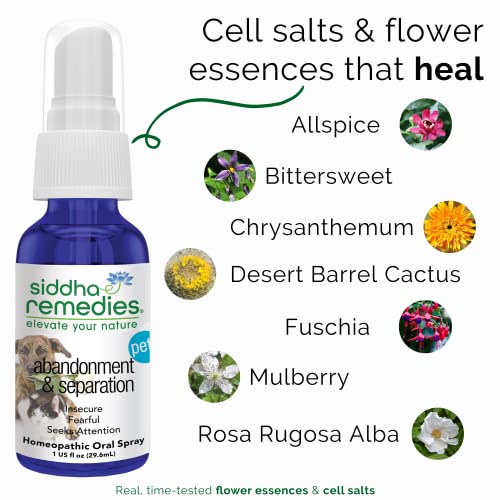 Siddha Remedies Abandonment & Separation For Pets | Natural Homeopathic Remedy For Dogs, Cats, And Animals | Naturally Helps Animals With Fears And Obsessive Behaviors | Supports Healthy Independence #TOP2