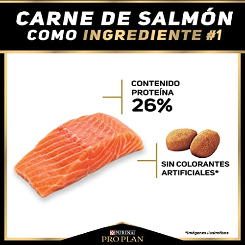 Lista de Proplan , listamos los 10 mejores. 11 Imagen adicional