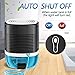 Posdry Dehumidifiers for Home 27oz(800ml) Small Auto Shut off Dehumidifiers with Drain Hose,Portable Ultra Quiet Mini Dehumidifier Effective for Bathroom, Basement, Garage, RV, Gun Safe, Closet