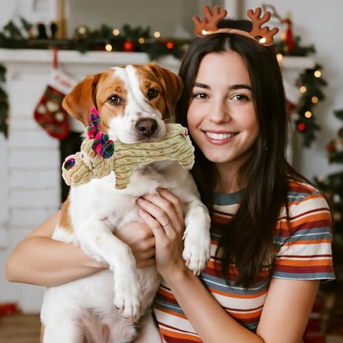 ROSAUI Hundespielzeug Weihnachten, Quietschend Spielzeug für Große Mittlere Kleine Hunde. Geschenke Kuscheltier Rentiere, Hunde