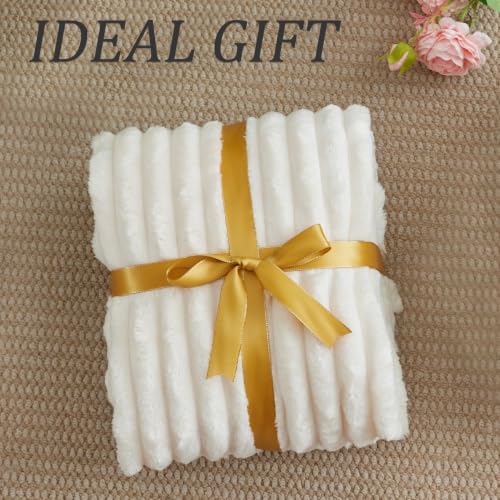 Image of BEDELITE Ribbed Twin Blanket for Couch & Bed, Cream, 66 inchx90 inch