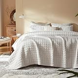 LEAONME Edredón de terciopelo tamaño matrimonial/queen, colcha suave para todas las estaciones